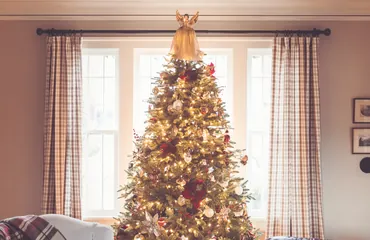 Grand sapin décoré devant une fenêtre de salon