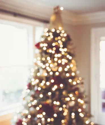 Sapin épicéa illuminé dans un salon