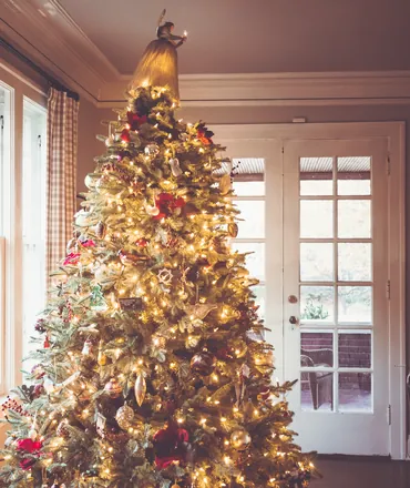Sapin Nordmann décoré devant une fenêtre