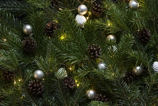 Branches de sapin décorées de pommes de pin et de boules argentées